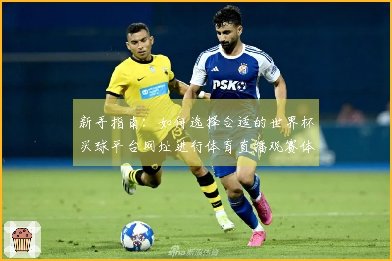新手指南：如何选择合适的世界杯买球平台网址进行体育直播观赛体验