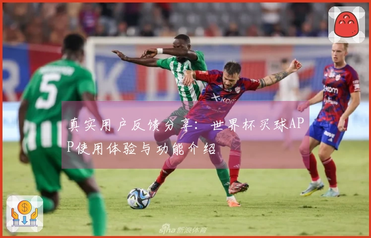 真实用户反馈分享：世界杯买球APP使用体验与功能介绍