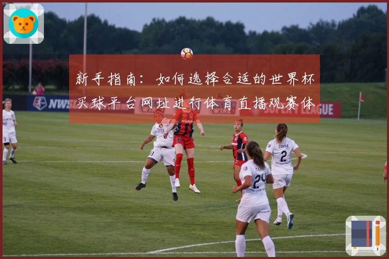 新手指南：如何选择合适的世界杯买球平台网址进行体育直播观赛体验
