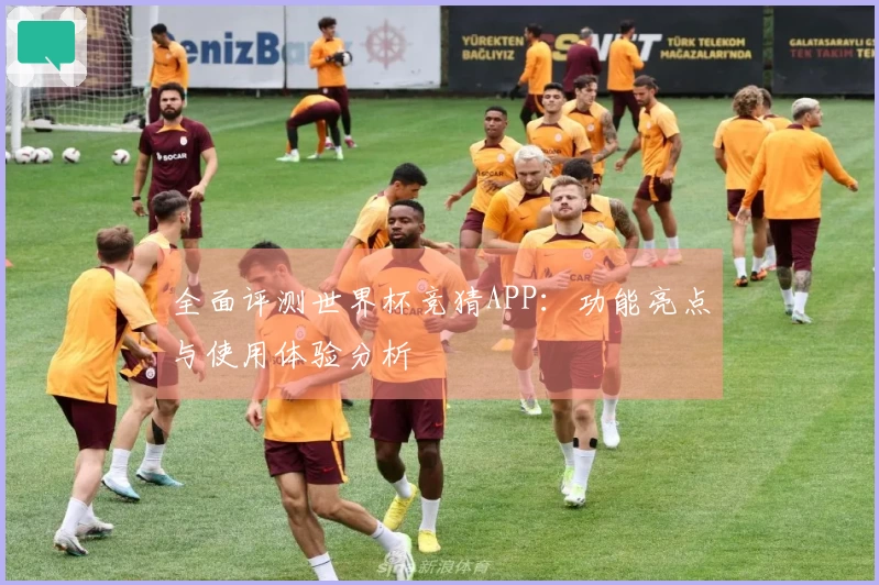 全面评测世界杯竞猜APP：功能亮点与使用体验分析