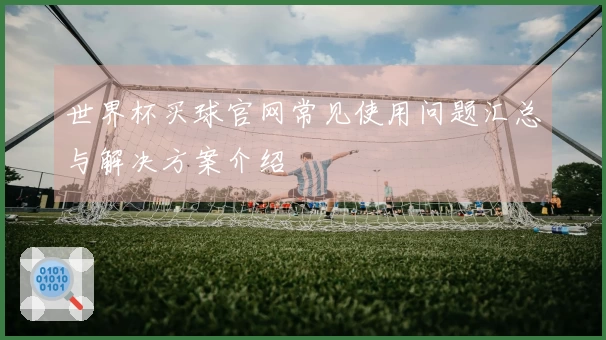 世界杯买球官网常见使用问题汇总与解决方案介绍