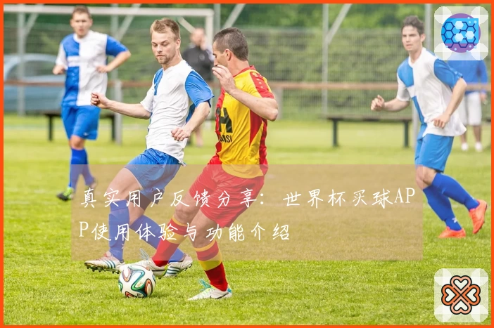真实用户反馈分享：世界杯买球APP使用体验与功能介绍